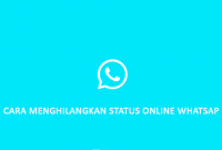 cara menghilangkan status online whatsapp