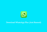 whatsapp plus Apk